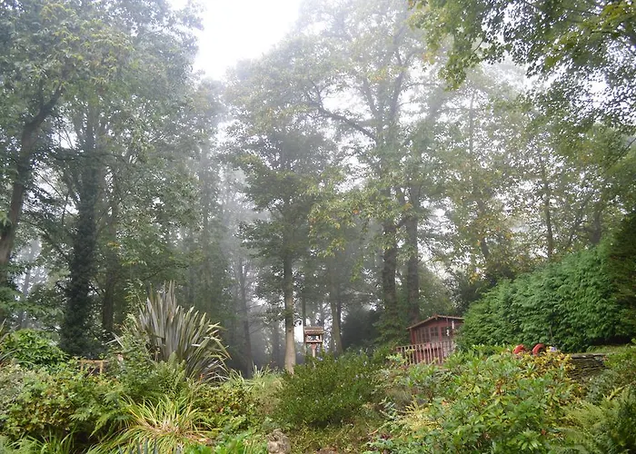 Thornybank