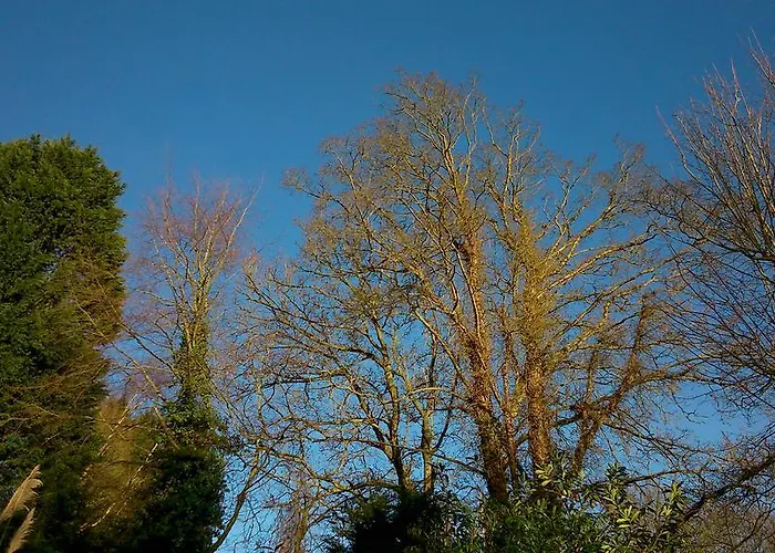 Thornybank