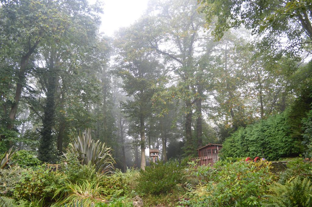 Thornybank